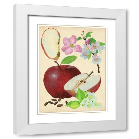 Apple and Blossom Study I White Modern Wood Framed Art Print with Double Matting by Wang, Melissa