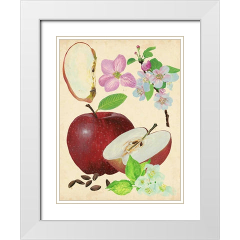 Apple and Blossom Study I White Modern Wood Framed Art Print with Double Matting by Wang, Melissa