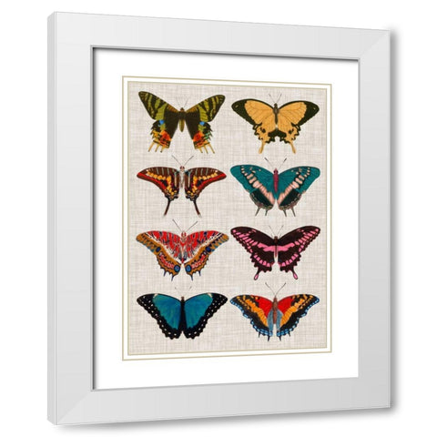 Polychrome Butterflies I White Modern Wood Framed Art Print with Double Matting by Vision Studio