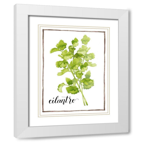 Watercolor Herbs IV White Modern Wood Framed Art Print with Double Matting by Popp, Grace
