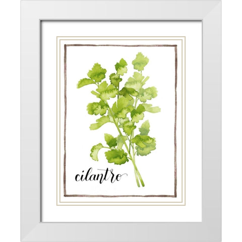 Watercolor Herbs IV White Modern Wood Framed Art Print with Double Matting by Popp, Grace