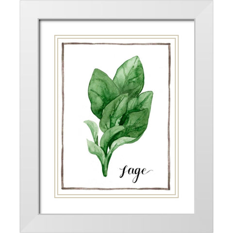 Watercolor Herbs VI White Modern Wood Framed Art Print with Double Matting by Popp, Grace