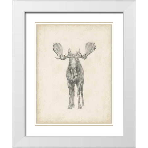 Moose Study  White Modern Wood Framed Art Print with Double Matting by Harper, Ethan
