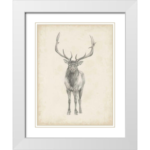 Elk Study White Modern Wood Framed Art Print with Double Matting by Harper, Ethan