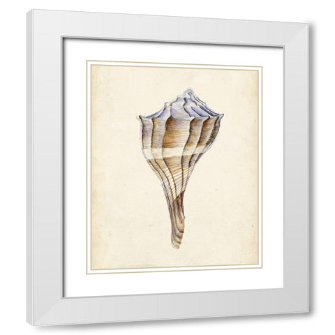 Watercolor Seashell I White Modern Wood Framed Art Print with Double Matting by Wang, Melissa