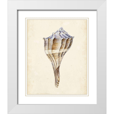 Watercolor Seashell I White Modern Wood Framed Art Print with Double Matting by Wang, Melissa