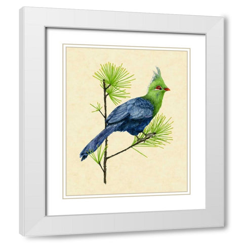 Green Turaco I White Modern Wood Framed Art Print with Double Matting by Wang, Melissa