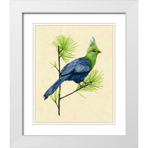 Green Turaco I White Modern Wood Framed Art Print with Double Matting by Wang, Melissa