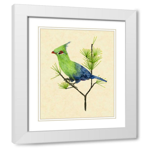 Green Turaco II White Modern Wood Framed Art Print with Double Matting by Wang, Melissa