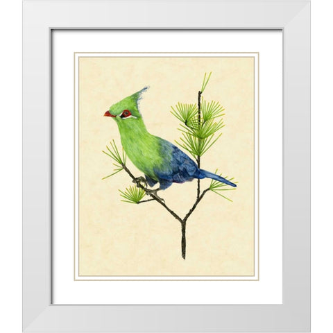 Green Turaco II White Modern Wood Framed Art Print with Double Matting by Wang, Melissa