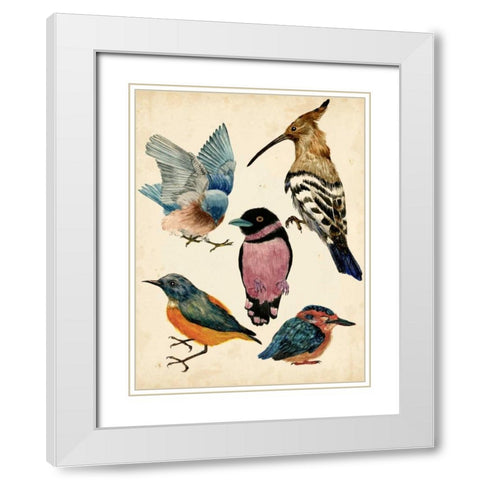 Bird Collection I White Modern Wood Framed Art Print with Double Matting by Wang, Melissa