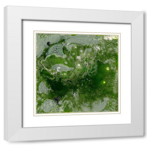 Pangaea I White Modern Wood Framed Art Print with Double Matting by Ludwig, Alicia