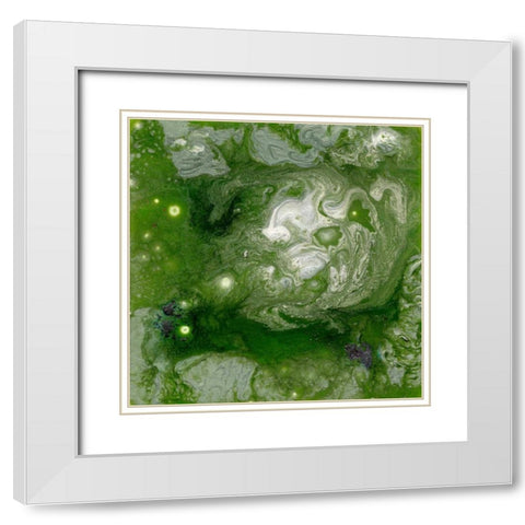 Pangaea II White Modern Wood Framed Art Print with Double Matting by Ludwig, Alicia