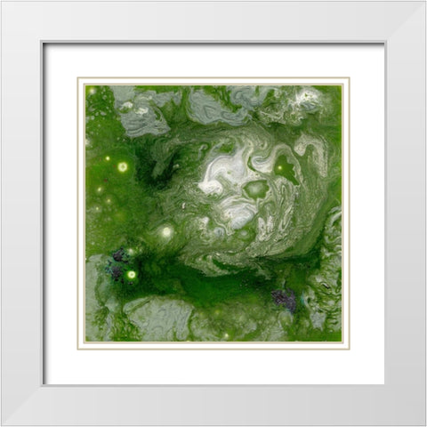 Pangaea II White Modern Wood Framed Art Print with Double Matting by Ludwig, Alicia