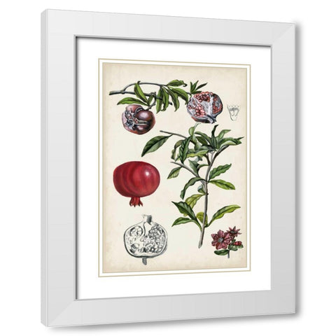 Pomegranate Composition I White Modern Wood Framed Art Print with Double Matting by McCavitt, Naomi