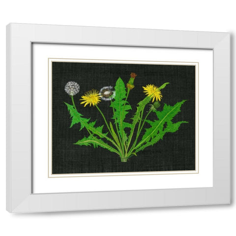 Wild Dandelion I White Modern Wood Framed Art Print with Double Matting by Wang, Melissa