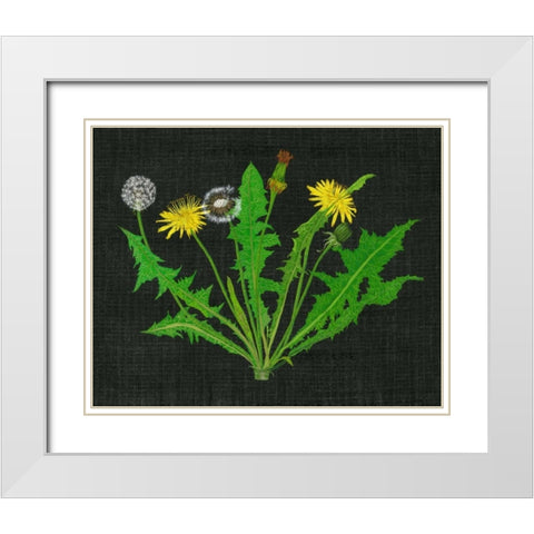 Wild Dandelion I White Modern Wood Framed Art Print with Double Matting by Wang, Melissa