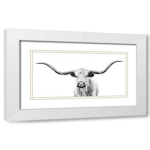 Longhorn Gaze White Modern Wood Framed Art Print with Double Matting by PHBurchett