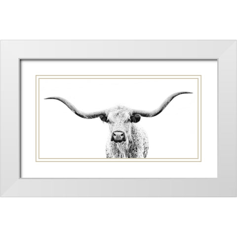 Longhorn Gaze White Modern Wood Framed Art Print with Double Matting by PHBurchett