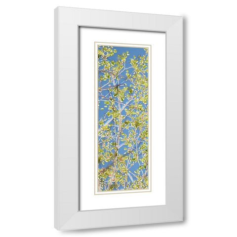 Spring Poplars I White Modern Wood Framed Art Print with Double Matting by Chandler, Sharon