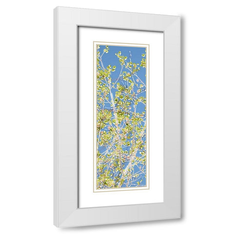 Spring Poplars II White Modern Wood Framed Art Print with Double Matting by Chandler, Sharon