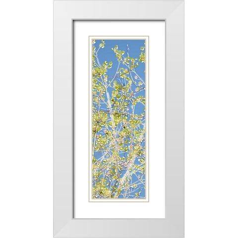 Spring Poplars II White Modern Wood Framed Art Print with Double Matting by Chandler, Sharon