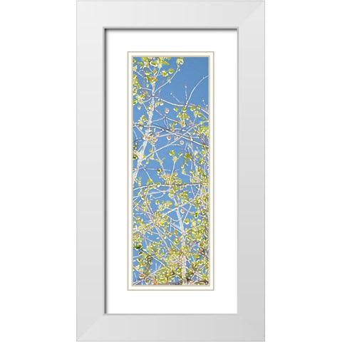 Spring Poplars III White Modern Wood Framed Art Print with Double Matting by Chandler, Sharon
