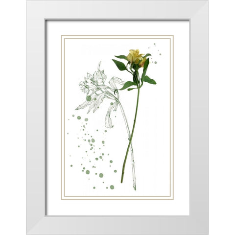 Botany Flower I White Modern Wood Framed Art Print with Double Matting by Wang, Melissa