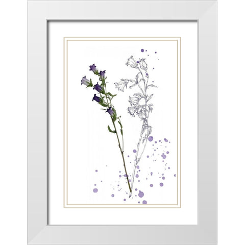 Botany Flower II White Modern Wood Framed Art Print with Double Matting by Wang, Melissa