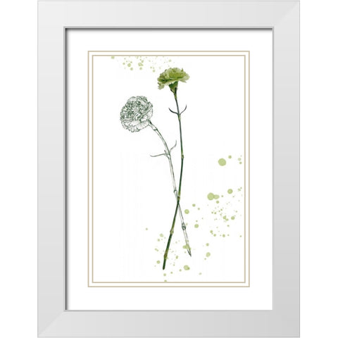 Botany Flower III White Modern Wood Framed Art Print with Double Matting by Wang, Melissa