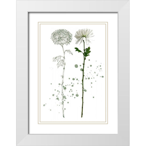 Botany Flower IV White Modern Wood Framed Art Print with Double Matting by Wang, Melissa