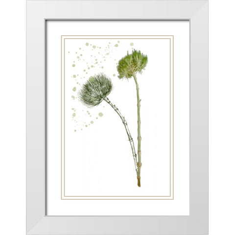 Botany Flower V White Modern Wood Framed Art Print with Double Matting by Wang, Melissa