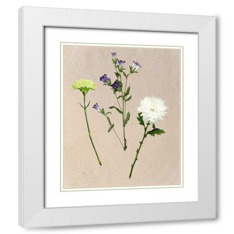 Pretty Pressed Flowers I White Modern Wood Framed Art Print with Double Matting by Wang, Melissa