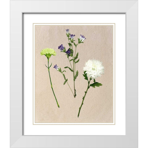 Pretty Pressed Flowers I White Modern Wood Framed Art Print with Double Matting by Wang, Melissa