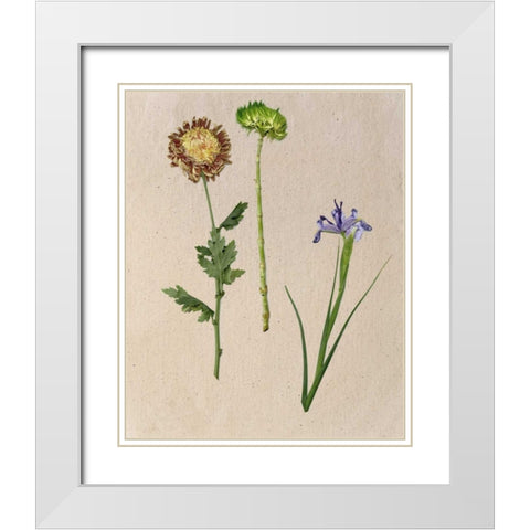 Pretty Pressed Flowers III White Modern Wood Framed Art Print with Double Matting by Wang, Melissa