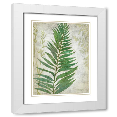 Frond I White Modern Wood Framed Art Print with Double Matting by Zarris, Chariklia