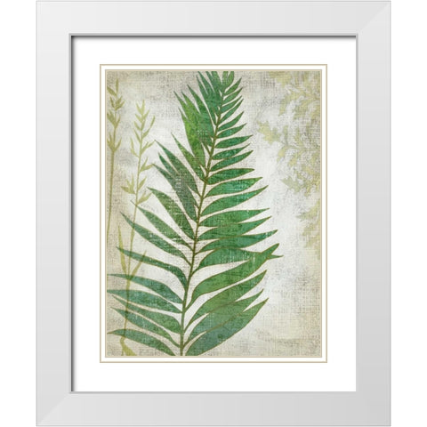 Frond I White Modern Wood Framed Art Print with Double Matting by Zarris, Chariklia