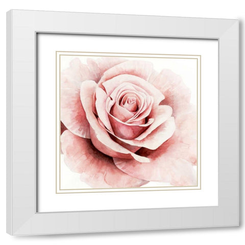 Pink Rose I White Modern Wood Framed Art Print with Double Matting by Popp, Grace