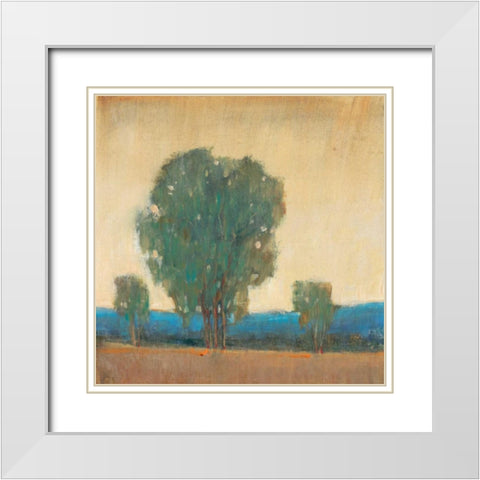 Clearing Storm II White Modern Wood Framed Art Print with Double Matting by OToole, Tim
