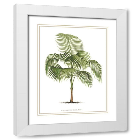 Custom Les Palmiers on White I White Modern Wood Framed Art Print with Double Matting by Unknown