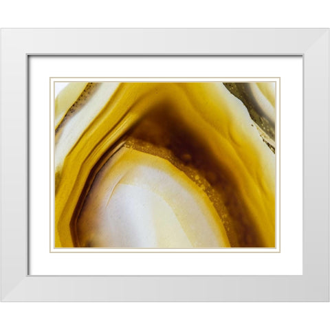 Level IX White Modern Wood Framed Art Print with Double Matting by Hartson-Weddle, Ryan