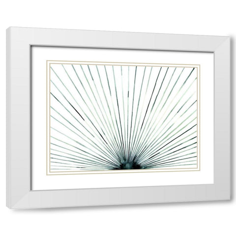 Strobe I White Modern Wood Framed Art Print with Double Matting by Popp, Grace