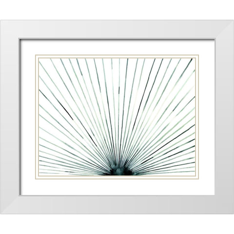 Strobe I White Modern Wood Framed Art Print with Double Matting by Popp, Grace