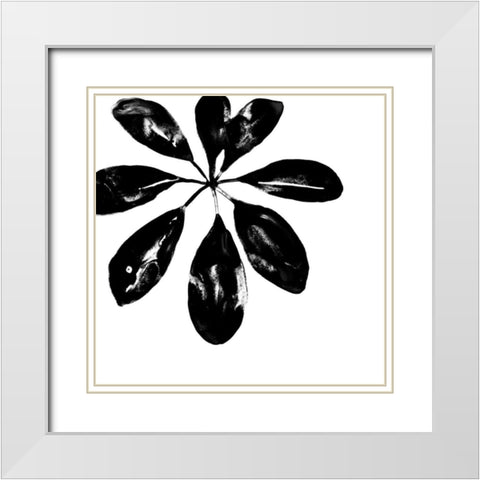 Monochrome Tropic VI White Modern Wood Framed Art Print with Double Matting by Vess, June Erica