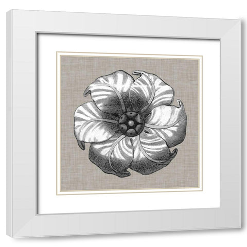 Neutral Rosette Detail III White Modern Wood Framed Art Print with Double Matting by Vision Studio