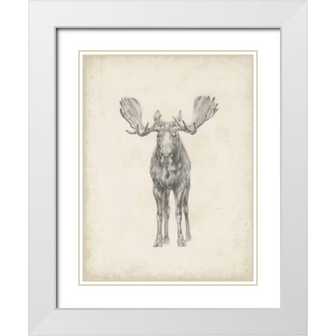 40x30 Custom Moose Study White Modern Wood Framed Art Print with Double Matting by Harper, Ethan