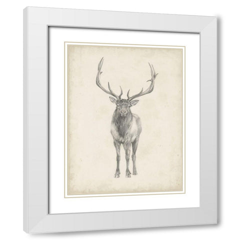 40x30 Custom Elk Study White Modern Wood Framed Art Print with Double Matting by Harper, Ethan