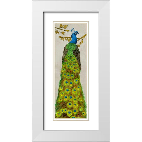 Vintage Peacock I White Modern Wood Framed Art Print with Double Matting by Wang, Melissa