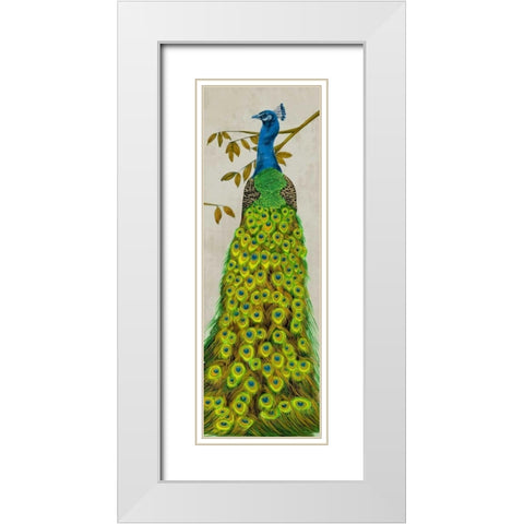 Vintage Peacock II White Modern Wood Framed Art Print with Double Matting by Wang, Melissa