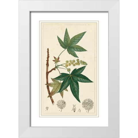 Turpin Maple Tree  White Modern Wood Framed Art Print with Double Matting by Turpin
